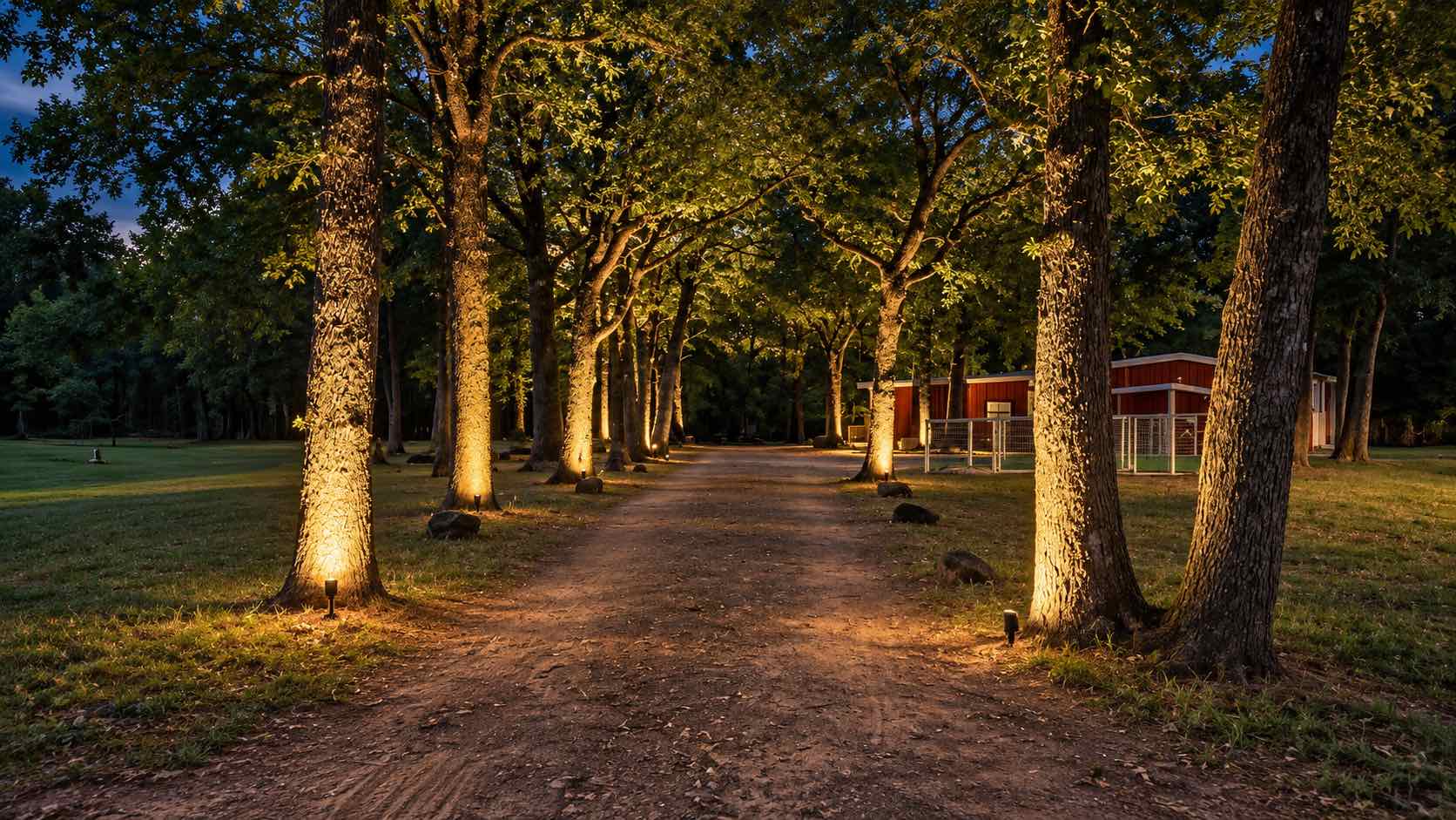 Ranch drive lined with uplit oak trees at dusk, a red barn in the background